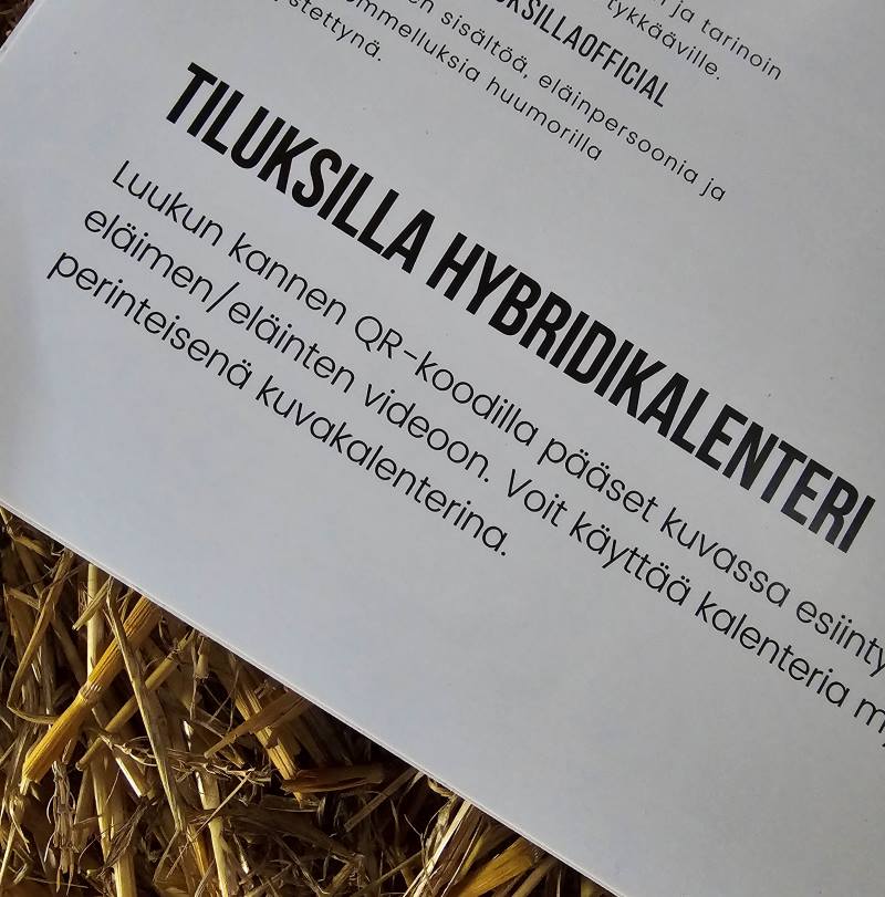 Joulukalenteri hangilla